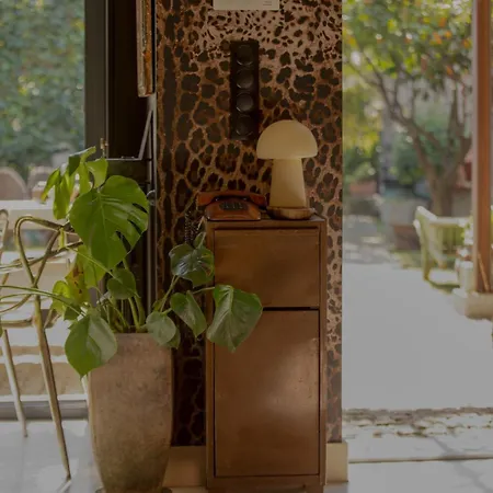 Cozy Vintage House With Pool In Cimiez Villa *