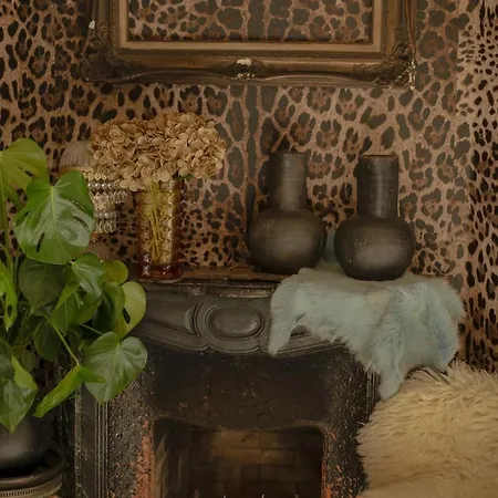 Cozy Vintage House With Pool In Cimiez Villa Nice