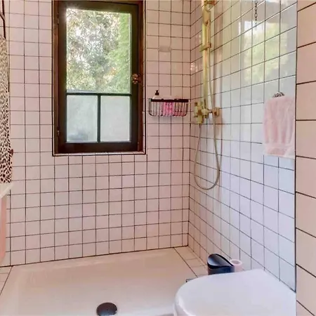 Cozy Vintage House With Pool In Cimiez Villa Nice