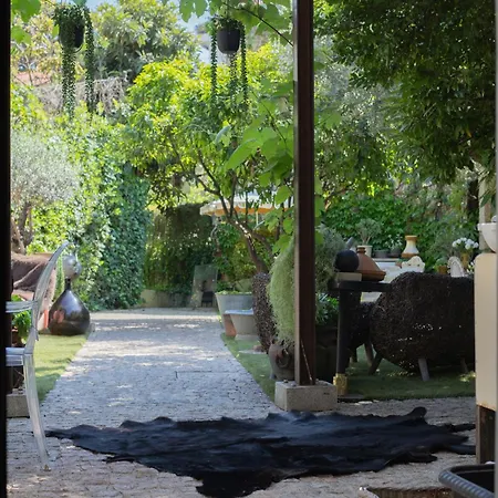 Cozy Vintage House With Pool In Cimiez